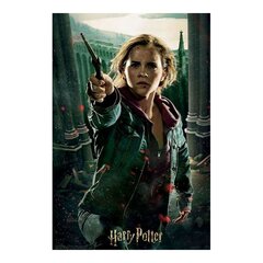 Dėlionė Harry Potter Prime3D, 300d. kaina ir informacija | Dėlionės (puzzle) | pigu.lt