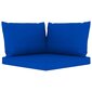 Dvivietė sodo sofa iš palečių su mėlynomis pagalvėlėmis kaina ir informacija | Lauko kėdės, foteliai, pufai | pigu.lt