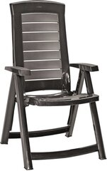Садовый стул Aruba, серый цена и информация | Садовые стулья, кресла, пуфы | pigu.lt