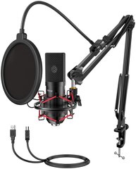 Komplektas: Kondensatorinis Mikrofonas FIFINE T732+ laikiklis + pop filtras kaina ir informacija | Mikrofonai | pigu.lt