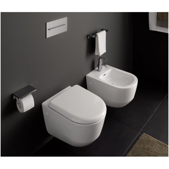 Miska WC Laufen Pro wisząca 36 x 53cm biała (H8209560000001) цена и информация | Klozetai | pigu.lt