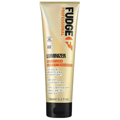Drėkinantis šampūnas Fudge Professional Luminizer Moisture Boost Shampoo, 250 ml цена и информация | Шампуни | pigu.lt