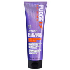 Šampūnas Fudge Everyday Clean Blonde Damage Rewind Violet, 250 ml kaina ir informacija | Šampūnai | pigu.lt