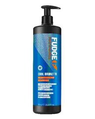 Fudge Professional Cool Brunette Blue-Toning Shampoo тонирующий шампунь для коричневых оттенков 1000 мл цена и информация | Шампуни | pigu.lt