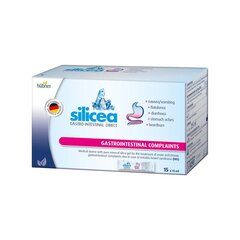 Maisto papildas Silicea Gastrointestinal Gel Direct virškinamojo trakto gelis,15 x 15 ml kaina ir informacija | Vitaminai, maisto papildai, preparatai gerai savijautai | pigu.lt