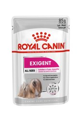 Royal Canin Ccn Wet Exigent Loaf suaugusiems visų veislių šunims, 85 g цена и информация | Консервы для собак | pigu.lt