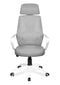 Biuro kėdė Mark Adler manager 2.8 Grey, pilka kaina ir informacija | Biuro kėdės | pigu.lt