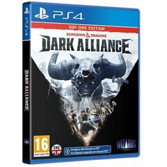 Dungeons & Dragons: Dark Alliance - Steelbook Edition, PS4 kaina ir informacija | Kompiuteriniai žaidimai | pigu.lt