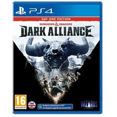 Dungeons & Dragons: Dark Alliance - Steelbook Edition, PS4 kaina ir informacija | Kompiuteriniai žaidimai | pigu.lt