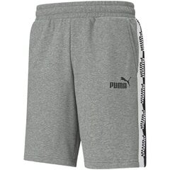 Мужские спортивные шорты Puma Amplified M 585786 03, серые цена и информация | Мужская спортивная одежда | pigu.lt