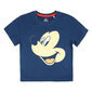 Pižama berniukui Disney Mickey ir draugai цена и информация | Pižamos, chalatai berniukams | pigu.lt