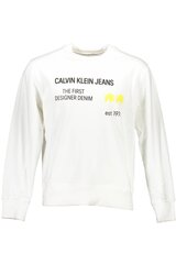 Джемпер для мужчин Calvin Klein, белый цена и информация | Мужские толстовки | pigu.lt