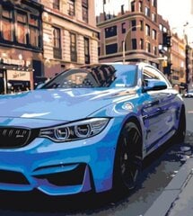 Kартины по номерам BMW цена и информация | Nenurodyta Творческий досуг | pigu.lt