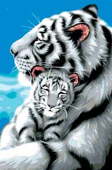 Tapyba pagal skaičius "Baltieji tigrai" 40X60 G kaina ir informacija | Tapyba pagal skaičius | pigu.lt