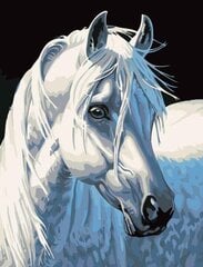 Kартины по номерам Белая лошадь цена и информация | Живопись по номерам | pigu.lt