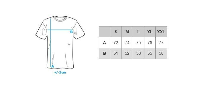 Marškinėliai vyrams Ombre S1385, mėlyni цена и информация | Vyriški marškinėliai | pigu.lt