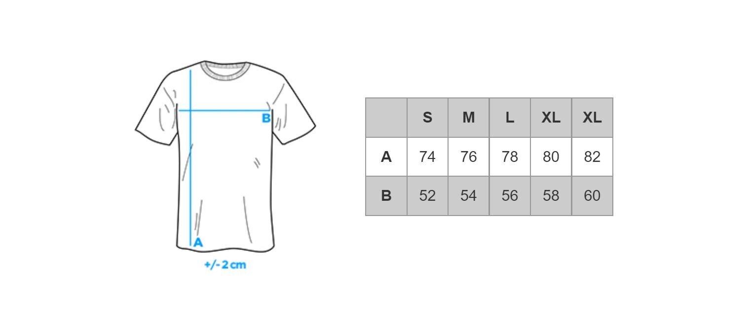Marškinėliai vyrams Ombre S1376, pilki kaina ir informacija | Vyriški marškinėliai | pigu.lt