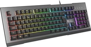 Клавиатура Genesis Rhod 500 RGB цена и информация | Клавиатуры | pigu.lt