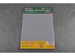 Plastiko lapai (210 mm x 300 mm x 2 vnt.), 08001 kaina ir informacija | Piešimo, tapybos, lipdymo reikmenys | pigu.lt