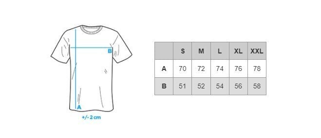 Marškinėliai vyrams Ombre S1390, mėlyni цена и информация | Vyriški marškinėliai | pigu.lt
