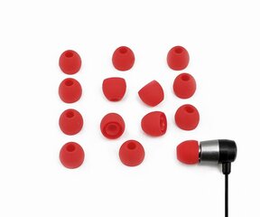 Xcessor EARBUD-14-LARGE kaina ir informacija | Ausinių aksesuarai | pigu.lt