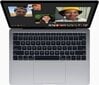Apple MacBook Air 13” M1 16/256GB MGN93ZE/A/R1|Z12700023 цена и информация | Nešiojami kompiuteriai | pigu.lt