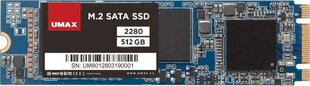 Umax UMM250006 kaina ir informacija | Vidiniai kietieji diskai (HDD, SSD, Hybrid) | pigu.lt