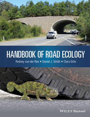 Handbook Of Road Ecology: A Practitioner's Guide To Impacts And Mitigation kaina ir informacija | Lavinamosios knygos | pigu.lt