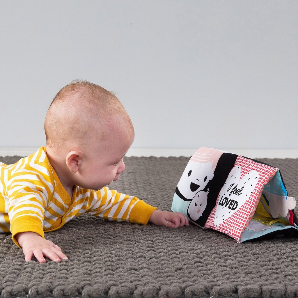 Lavinamoji knygelė TAF TOYS Mano jausmai kaina ir informacija | Žaislai kūdikiams | pigu.lt