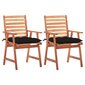 Lauko valgomojo kėdės su pagalvėlėmis, 2vnt. цена и информация | Lauko kėdės, foteliai, pufai | pigu.lt