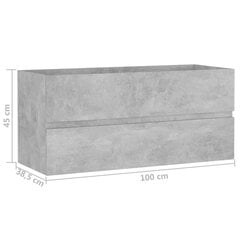 Spintelė praustuvui, 100x38,5x45 cm, pilka цена и информация | Шкафчики для ванной | pigu.lt