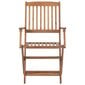 Sulankstomos lauko kėdės, 2vnt., akacijos medienos masyvas цена и информация | Lauko kėdės, foteliai, pufai | pigu.lt