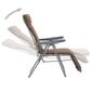Sulankstomos sodo kėdės su pagalvėlėmis, 2 vnt., rudos kaina ir informacija | Lauko kėdės, foteliai, pufai | pigu.lt