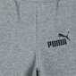 Sportinės kelnės mergaitėms Puma ESS Logo Pants TR Junior 586974 03, pilkos kaina ir informacija | Kelnės mergaitėms | pigu.lt