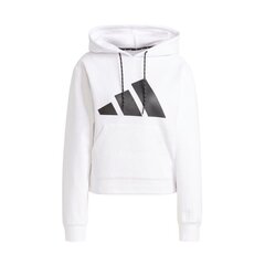 Спортивный джемпер женский Adidas WMNS Relaxed Fit Logo W GL9502, белый цена и информация | Спортивная одежда женская | pigu.lt