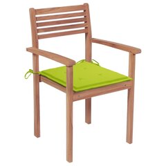 Sodo kėdės su šviesiai žaliomis pagalvėlėmis, 2vnt. kaina ir informacija | Lauko kėdės, foteliai, pufai | pigu.lt