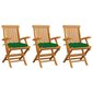 Sodo kėdės su žaliomis pagalvėmis, 3vnt. kaina ir informacija | Lauko kėdės, foteliai, pufai | pigu.lt