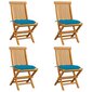 Sodo kėdės su šviesiai mėlynomis pagalvėlėmis, 4 vnt, rudos kaina ir informacija | Lauko kėdės, foteliai, pufai | pigu.lt