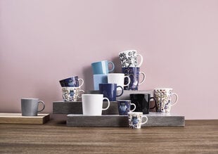 Iittala puodelis Taika, 200 ml kaina ir informacija | Iittala Virtuvės, buities, apyvokos prekės | pigu.lt