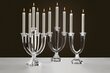 3 šakų žvakidė Villeroy & Boch Candelabra, 28 cm kaina ir informacija | Žvakės, Žvakidės | pigu.lt