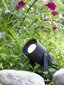 Taškinis šviestuvas Garden24 3W juodas IP44 kaina ir informacija | Lauko šviestuvai | pigu.lt