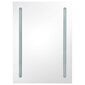 Veidrodinė vonios spintelė su LED apšvietimu, 50x13x70 cm, balta цена и информация | Vonios spintelės | pigu.lt