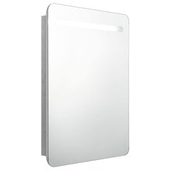 Veidrodinė vonios spintelė su LED apšvietimu, 60x11x80cm, pilka kaina ir informacija | Vonios spintelės | pigu.lt