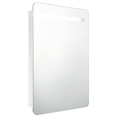 Veidrodinė vonios spintelė su LED apšvietimu, 60x11x80 cm, balta kaina ir informacija | Vonios spintelės | pigu.lt