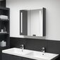 Veidrodinė vonios spintelė su LED apšvietimu, 62x14x60cm, pilka kaina ir informacija | Vonios spintelės | pigu.lt