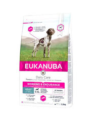 Eukanuba aktyviems šunims, 2.5 kg kaina ir informacija | Sausas maistas šunims | pigu.lt