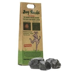 Nuo šlapimo dėmių apsaugantys akmenys šunims kaina ir informacija | Dresūros priemonės šunims | pigu.lt