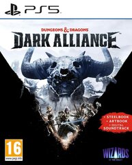PS5 Dungeons & Dragons: Dark Alliance Steelbook Edition kaina ir informacija | Kompiuteriniai žaidimai | pigu.lt