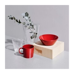 Iittala миска Teema, 15 см цена и информация | Посуда, тарелки, обеденные сервизы | pigu.lt