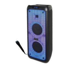 Портативный Bluetooth динамик EFFECT XP-8814, 450 Bт, BT/FM/USB/micro SD/AUX/LED, аккум. цена и информация | Аудиоколонки | pigu.lt